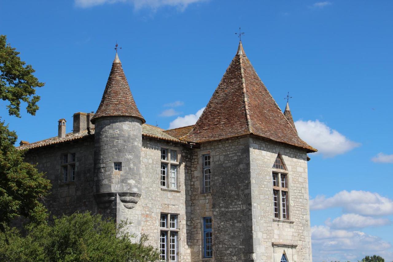 Gites Du Chateau De Panisseau Thenac  Luaran gambar